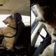 Image for article titled I'm Obsessed With These Dogs That Can Drive Cars